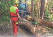 Uniforest v medijih: objava v reviji Kmetovalec, priloga Gozd, september 2023