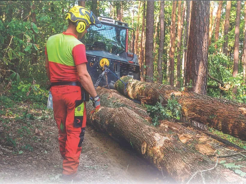 Uniforest v medijih: objava v reviji Kmetovalec, priloga Gozd, september 2023