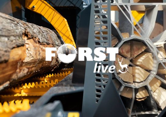 Video: Uniforest na FORST Live 2024